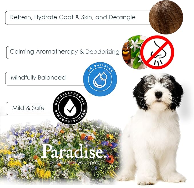 Best Shot Scentament Spa Botanical Body Splash, Detangler Spray, Body Spray for Pets, Cat and Dog Cologne Spray, Mango Maui, 8 Oz.