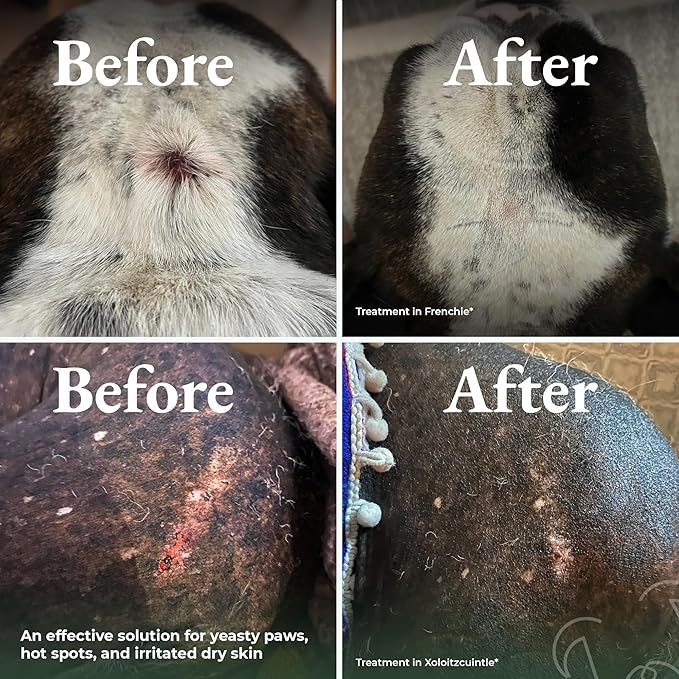 Dry Shampoo for Dogs – Antifungal Itchy Skin & Hot Spot Relief, Yeast Infection & Paw Licking Treatment, Dog Powder with Allergy Support