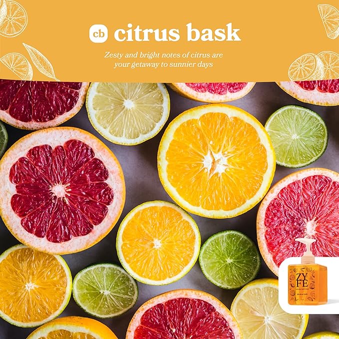 12 Bottle Case of Vitamin Hand Soap - Liquid Hand Soap Value Pack Deal - Natural Plant Derived Moisturizing Handsoap with Essential Oil Fragrance Citrus Bask- Wholesale Carton