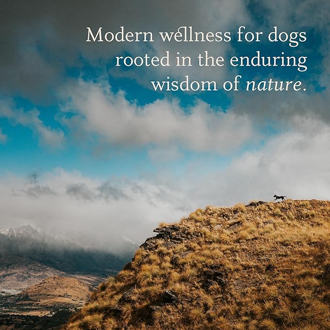 Manuka Dog Ear Cleaner Wipes - Otic Cleanser for Dogs to Stop Ear Itching, and Infections with Aloe and Manuka Honey - 50 Count