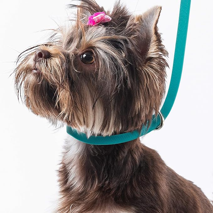 Jelly Pet Grooming Loop Slip Style (1/2" x 30", Lime Green) | Made in The USA