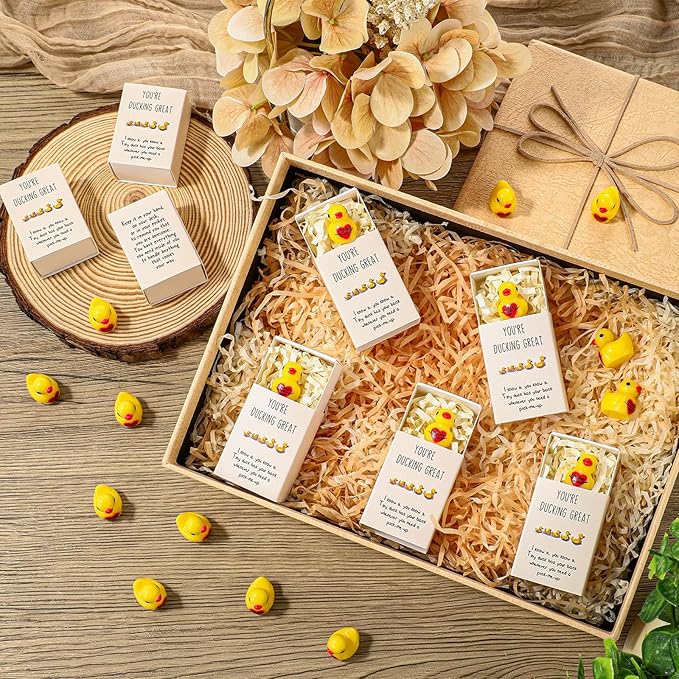 25 Set Employee Appreciation Gifts Bulk Coworkers Thank You Desk Pets Holiday Small Cute Emotional Support Resin Ornaments Card Box for Women Men Adults Office (Heart Duck)