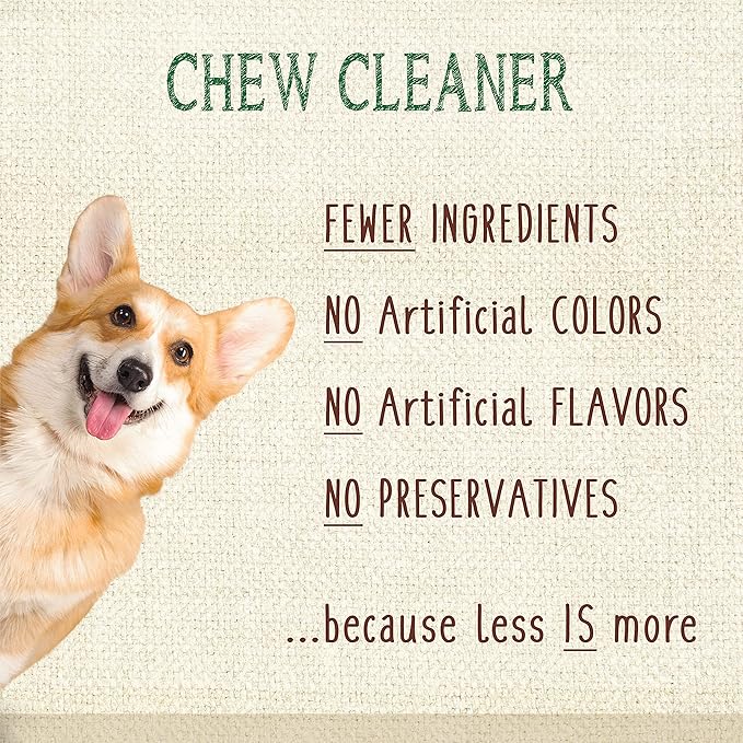 Nylabone Nutri Dent Dog Dental Treats - Natural Dog Teeth Cleaning & Breath Freshener - Dental Treats for Dogs - Filet Mignon Flavor, Mini (78 Count)