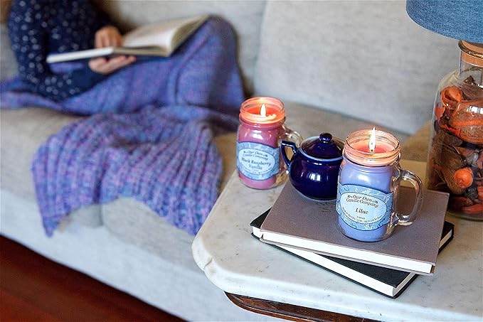 Our Own Candle Company - Lavender Scented, Premium Grade Home Fragrance Oil for Diffusers (2oz)