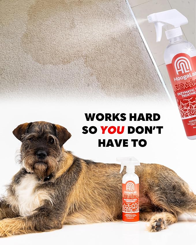 16oz Enzymatic Spot Treatment - Powerful Stain Remover for Tough Messes | Pet Cleaner, Elimate Organic Stains, Odors, and Residues From Carpet, Upholstery, and Fabrics! (Single)