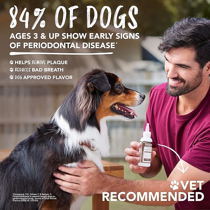 TropiClean Enticers Dog Teeth Cleaning Treat Gel | Honey Chicken Flavored Dog Toothpaste Alternative| 2 oz