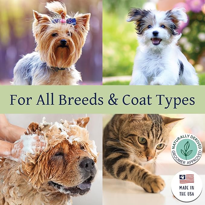 Bobbi Panter Refreshing Dog Shampoo - Hydrates & Soothes Skin & Fur, Minimizes Itching & Dander, Eucalyptus Mint Scent, 30:1 Concentrated Formula, Made in USA, 14 oz. (Case of 12)