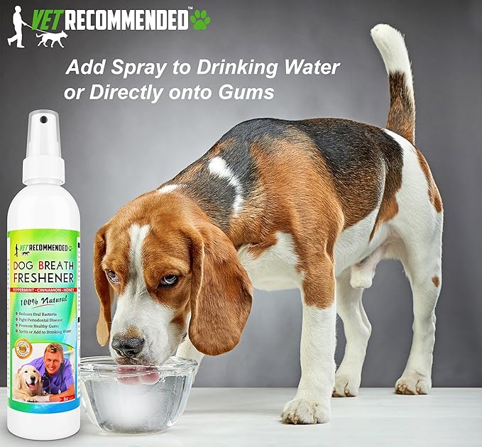 Vet Recommended Dog Breath Freshener & Dental Water Additive Spray (8oz) All Natural - Perfect for Bad Dog Breath & Dog Teeth Spray. Spray in Mouth or Add to Pet's Drinking Water. Made in USA