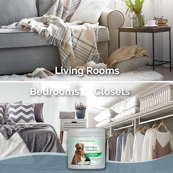 SMELLS BEGONE Pet Odor Absorber Gel - Air Freshener - Absorbs Odor from Bathrooms, Cars, Pet Areas, Boats & RVs - Made with Essential Oils - Calming Rain Scent - 15 Ounce