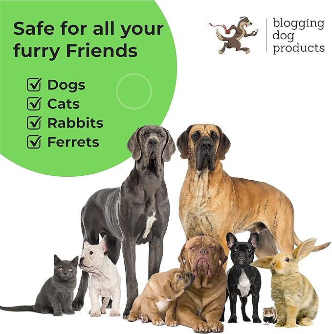 Dog Deodorizing Spray – Long-Lasting Dog Cologne & Pet Odor Eliminator – Cucumber Melon Scented Dog Perfume for Smelly Dogs – Safe, Refreshing Dog Grooming Spray