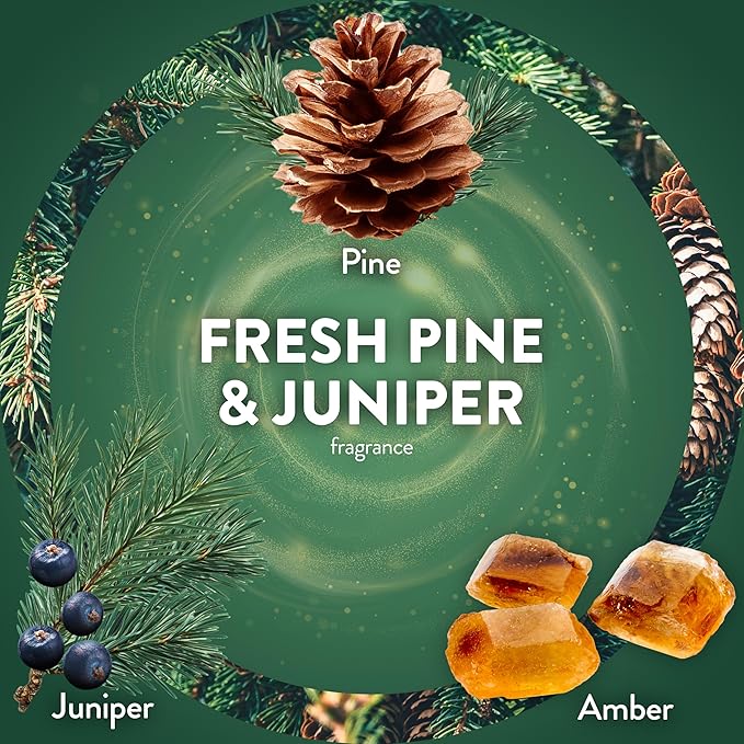 Air Wick Plug In Scented Oil Refill, Infused with Essential Oils, Plug In Air Fresheners for Home, Fresh Pine & Juniper, 4 ct