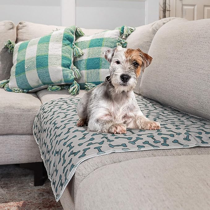 rocket & rex Premium Washable Pee Pads for Dogs, Waterproof & Reusable Puppy Pads for Potty Training, Whelping, Lining Crates & More, Guaranteed for up to 300 Washes, 30" x 36" (Pack of 2)