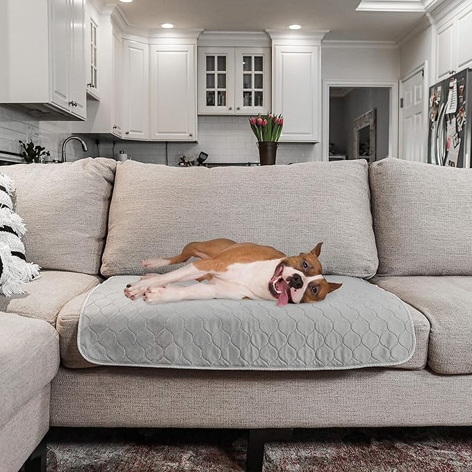 rocket & rex Premium Washable Pee Pads for Dogs, Waterproof & Reusable Puppy Pads for Potty Training, Whelping, Lining Crates & More, Guaranteed for up to 300 Washes, 22" x 22" (Pack of 2)